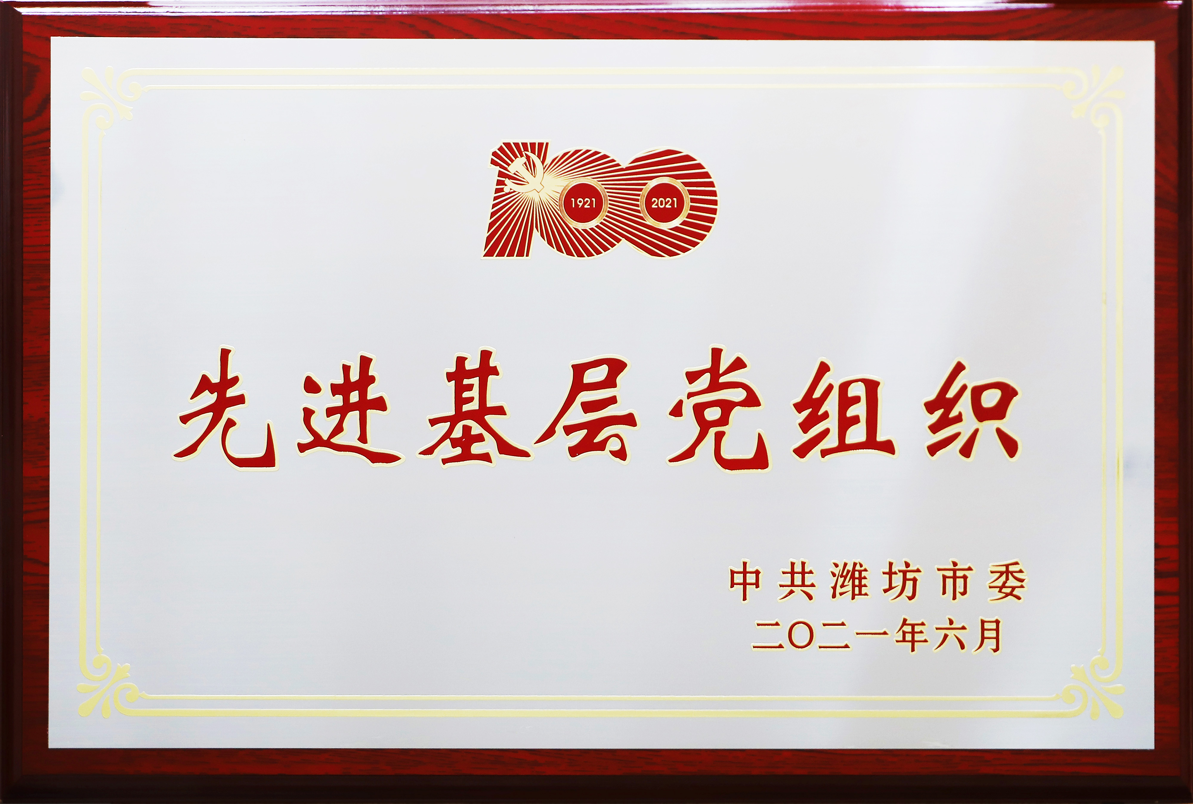 2021年先进基层党组织